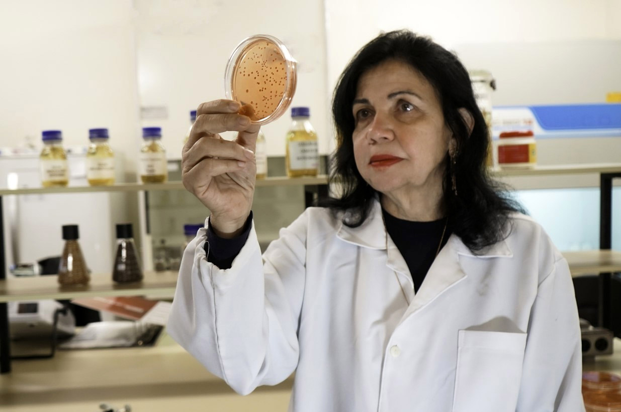 Y el "Nobel de agricultura"... fue para los biológicos!!!